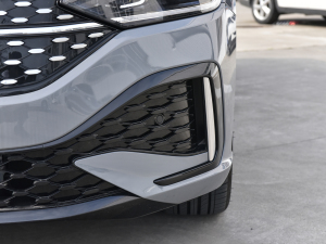 2023300TSI DSGǿݰ ^