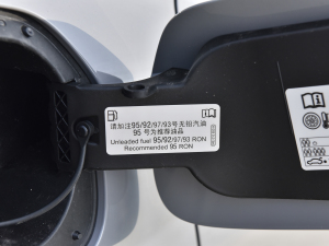 2023300TSI DSGǿݰ (ji)^