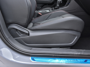 2023300TSI DSGǿݰ g