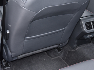 2023300TSI DSGǿݰ g