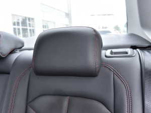 2023300TSI DSGǿݰ g