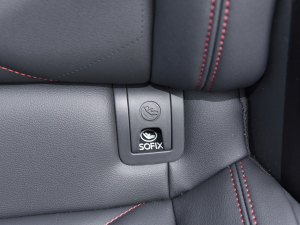 2023300TSI DSGǿݰ g