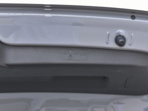 2023300TSI DSGǿݰ g