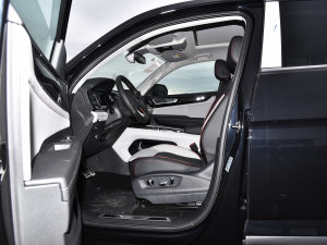 2023款380TSI 四驱尊崇豪华版 前排空间