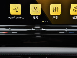 2023款380TSI 四驱尊崇豪华版 音响调节