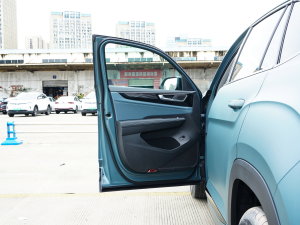 2023款530 V6 四驱青云限定版 驾驶位车门