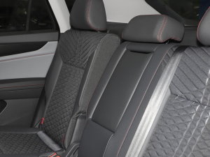 2023Ŀ 380TSI (q)A g