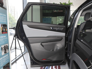 2023款改款 380TSI 四驱豪华版 左后车门