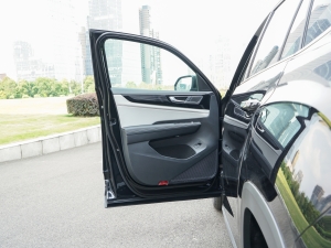 2023款改款 380TSI 四驱尊享豪华版 驾驶位车门