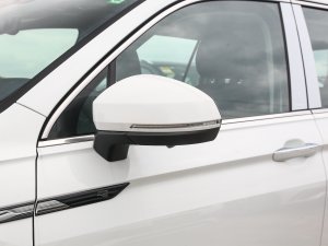 2023款330TSI 自动两驱R-Line越享版 后视镜