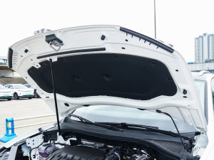 2023款330TSI 两驱旗舰版 发动机舱隔音棉