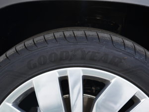 2023380TSI Ş ݆̥Ʒ