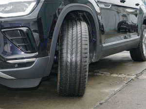 2023530 V6 (q)Ş (x)(ji)^