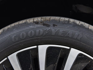 2023Ŀ 380TSI F ݆̥Ʒ