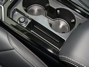 2023430PHEV (dng)̄(w) g