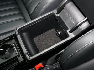 2023430PHEV (dng)̄(w) g