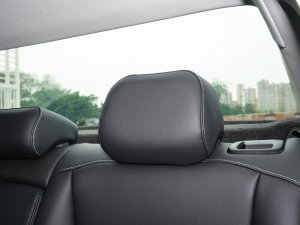 2023430PHEV (dng)̄(w) g