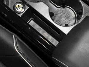 2023430PHEV (dng)Ӣ g