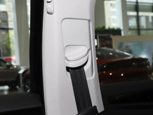 2023430PHEV (dng)Ӣ g