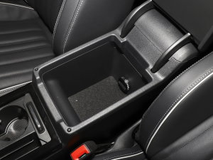 2023430PHEV (dng)Ӣ g