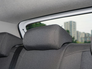 20231.5L Ԅ(dng)L(fng)а g