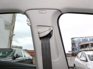 2023Plus 1.5L Ԅӿv阷 g