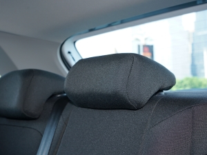 2023Ŀ Plus 1.5L քӿv阷 g