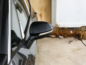 2023��������� �������^