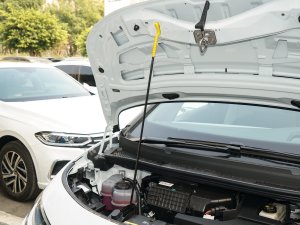 2023��O�ǰ� ����