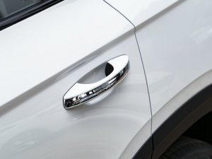 2023300TSI (q) (ji)^