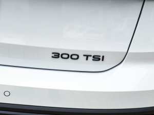 2023300TSI  ^