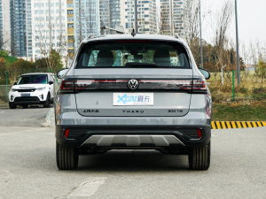 2023款300TSI 两驱满月版 正后	