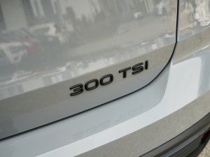 2023300TSI (q)M° (x)(ji)^