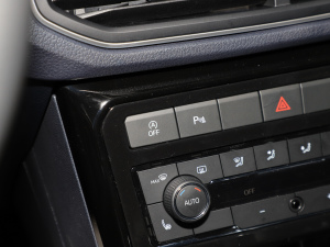 2025J 300TSI J п؅^