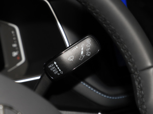 2025J 300TSI J п؅^