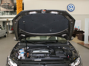 2011款2.0TSI DSG至尊版 其它