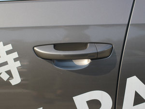 20113.0 V6 DSGŞF {T