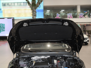 2025款凌渡L 280TSI DSG炫辣版 其它