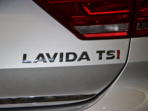 20131.4TSI DSGA (ji)^