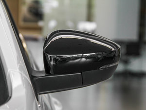 2014款1.4TSI 30周年纪念版 后视镜