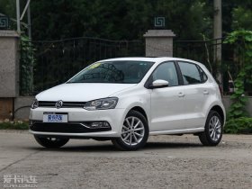 2014Polo 