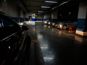 2015330TSI DSGA (x)(ji)^