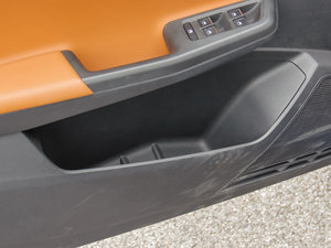 2015230TSI DSGA ǰTg