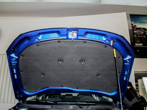 2015款230TSI DSG舒适版 其它