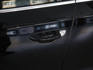 2016款280TSI DSG尊荣版 主驾门拉手