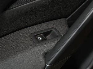 2017230TSI DSGL(fng) g