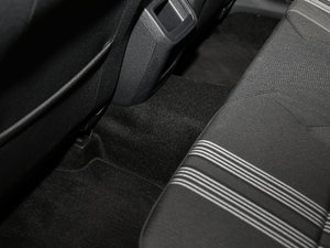 2017230TSI DSGL(fng) g