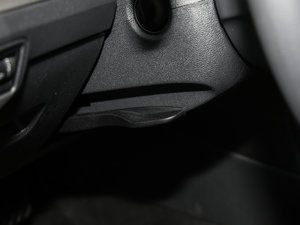 2017230TSI DSGL(fng) g