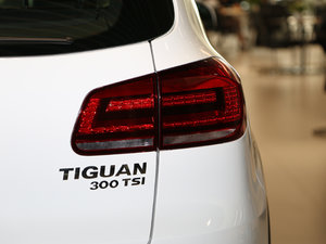 2017款300TSI 自动两驱丝绸之路舒适版 尾灯