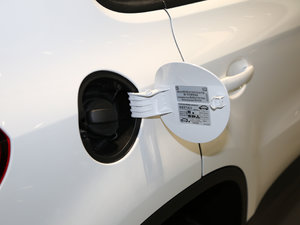 2017款300TSI 自动两驱丝绸之路舒适版 油箱盖